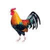 ไก่ชนออนไลน์ icon